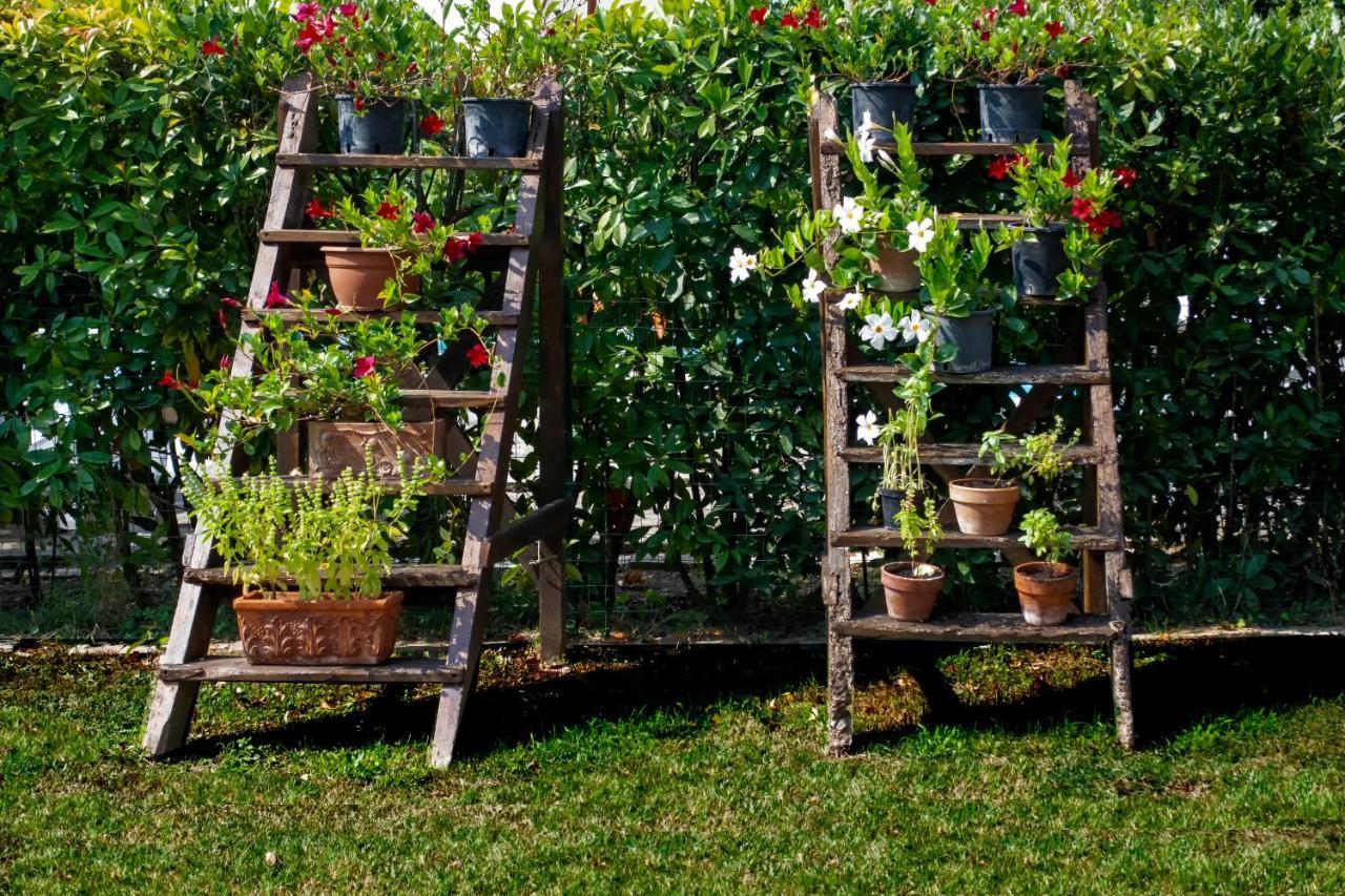 Tenuta Di Ghizzano Resort Bagian luar foto