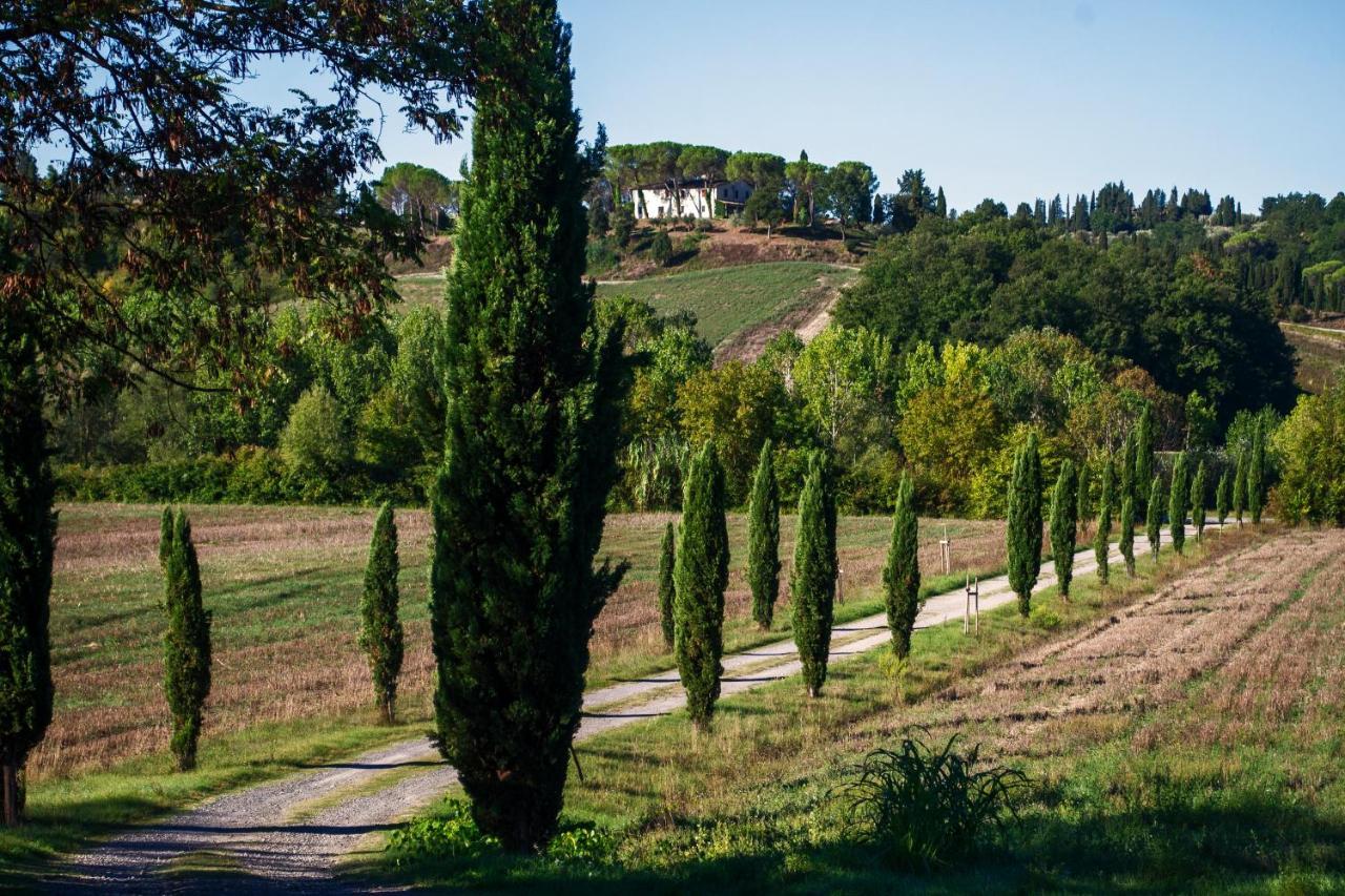 Tenuta Di Ghizzano Resort Bagian luar foto