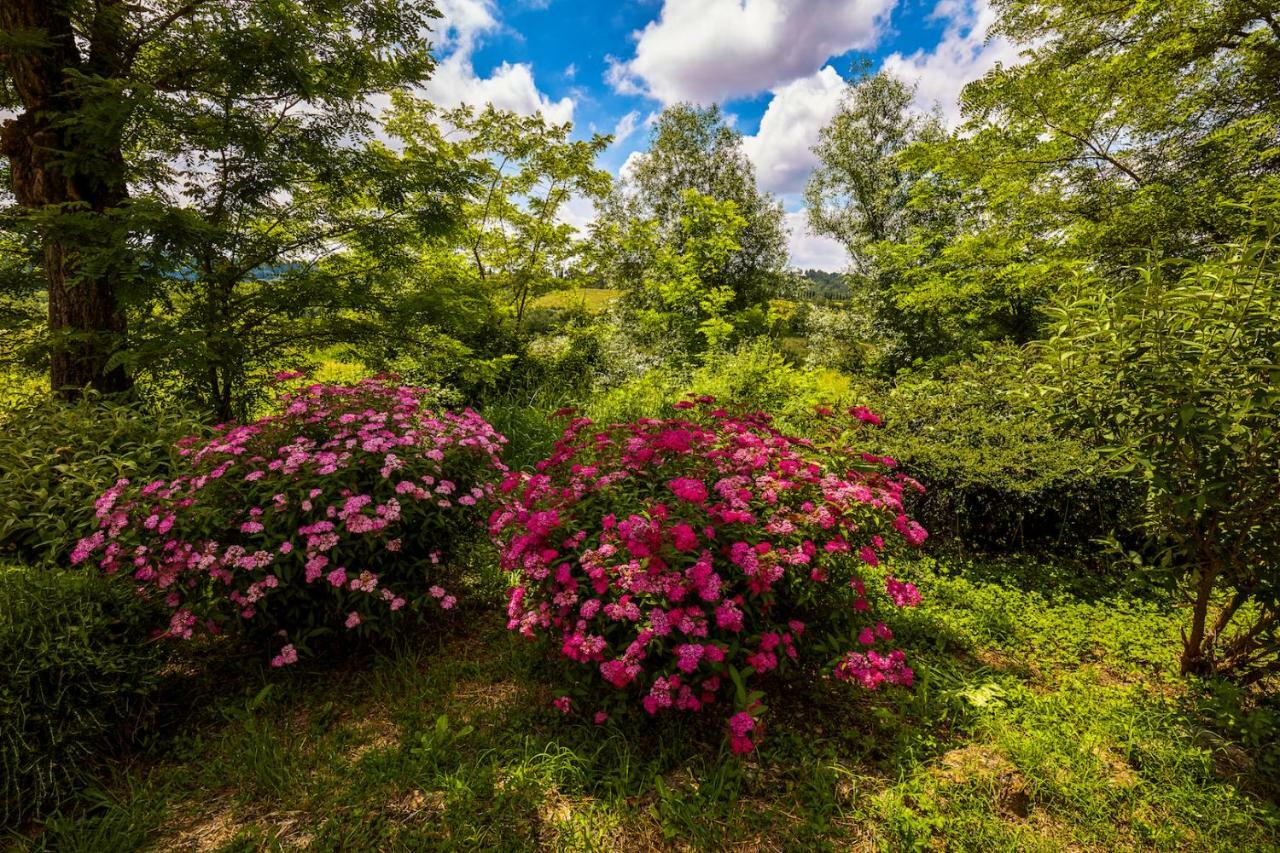 Tenuta Di Ghizzano Resort Bagian luar foto