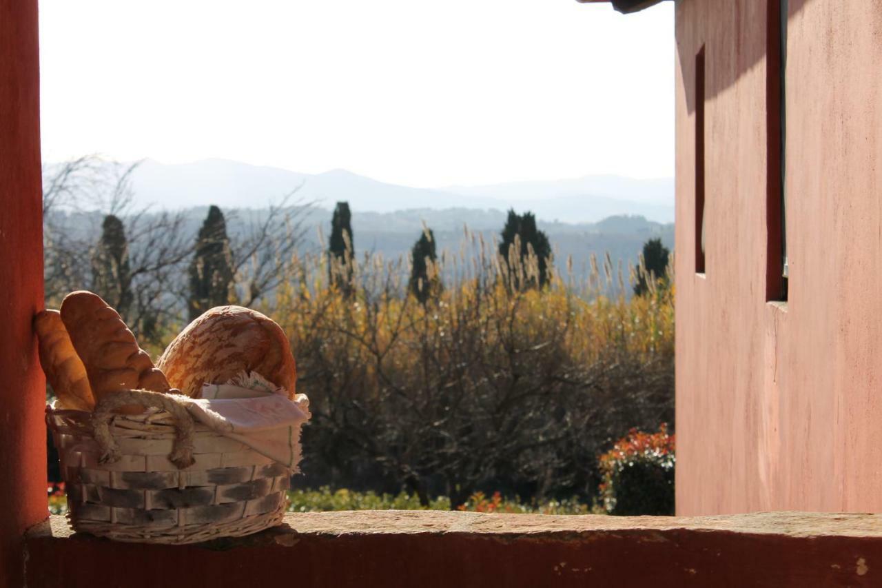 Tenuta Di Ghizzano Resort Bagian luar foto